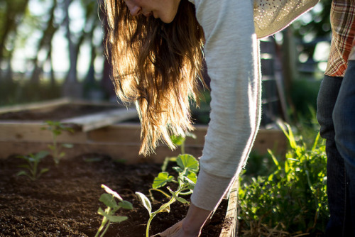 last-best-place: Plant the seeds you want to see grow by blue mountain thyme on Flickr.