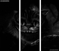 amargedom:  cheshire 3D