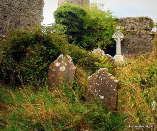 irisharchaeology: Nature reclaims…… overgrown headstones at Tullaherin, Co. Kilkenny