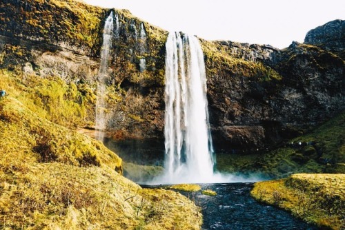 Missing Iceland something fierce right now, such a uniquely beautiful place. #iceland #icelandtravel