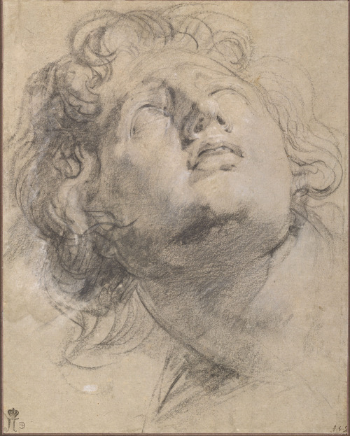 drawpaintprint:  Peter Paul Rubens (Flemish, 1577-1640). Study of the Head of a Youth Looking Up, 1615-16. Charcoal and black chalk on grey paper; laid down. 34 x 27 cm. 
