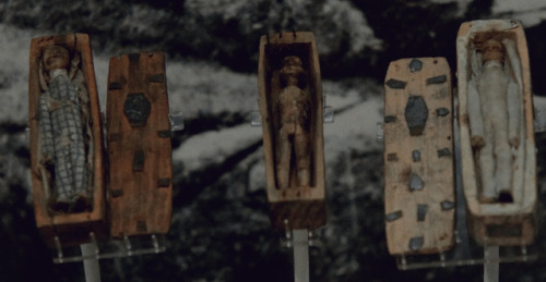 fallbabylon - Miniature coffins and dolls found hidden in a cave...