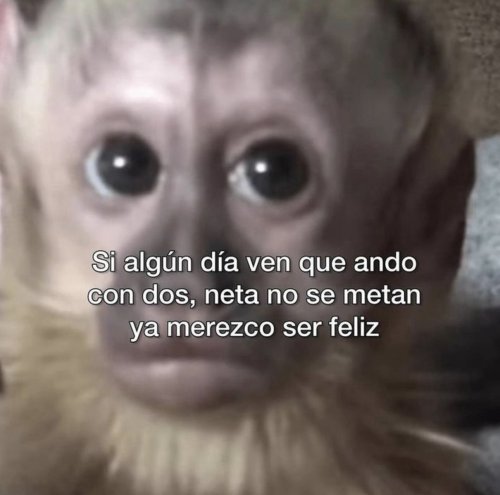 wandersaurio - Tu Ponele Wenooo🔥