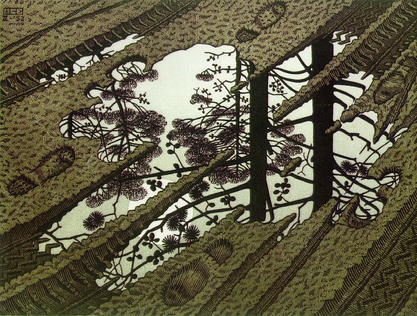 Puddle by M. C. Escher