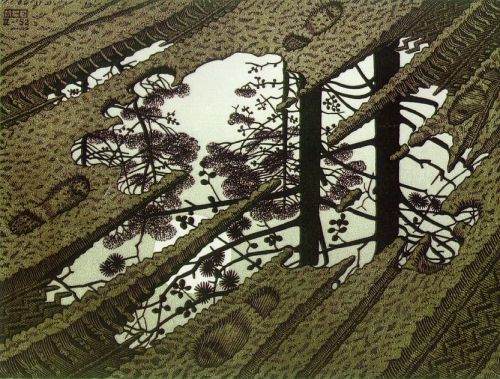 Puddle 1952 by M. C. Escher