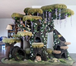 catsbeaversandducks:  Wolfie the Werecat and his wonderful Enchanted Forest Kitty Sanctuary. Photos by Wolfie Cat Tree made by Hollywood Kitty Company 