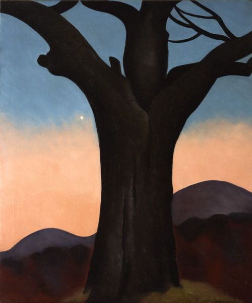 thewoodbetween:Georgia O'Keeffe.  The Chestnut Grey, 1924.