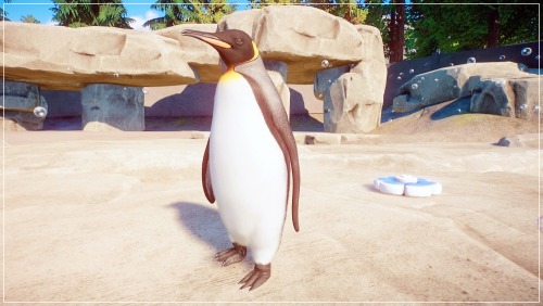 For Those Of Us Who Dont Play Planet Zoo, A New Aquatic Animal Content Pack Came Out Yesterday. So, Naturally