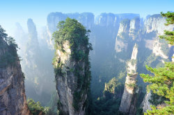 strain:  Zhangjiajie National Forest Park