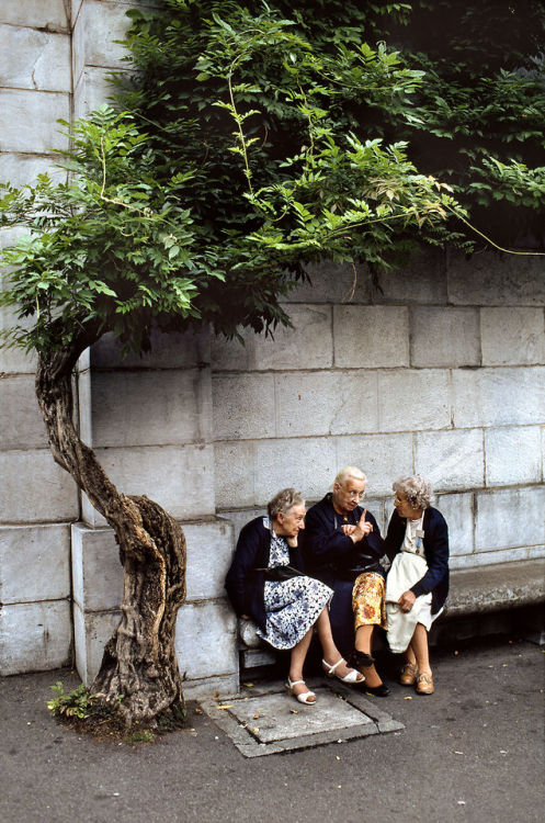 stevemccurrystudios:  Trees are SentinelsGuarding, Nurturing, ProtectingBastions of DignityBreathing lifeProviding shelterAsking for nothingSacrificing everything- Kay Earle 