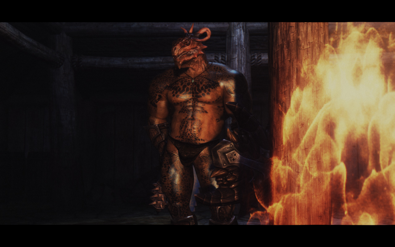 move-to-ipod:  personalchesschirebaconblog:  mrbonerswildride:  beastracesftw:  Skyrim