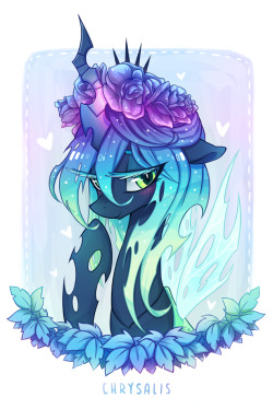 drawponies:  Floral Chrysalis by space-kid