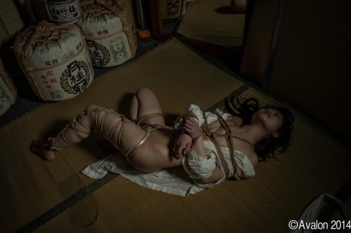 itsuka-hizuki:  Rope & Photo by Avalon adult photos