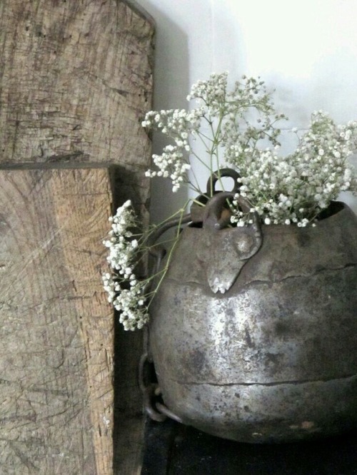 cleverbouquetwhispers: Pots, flowers