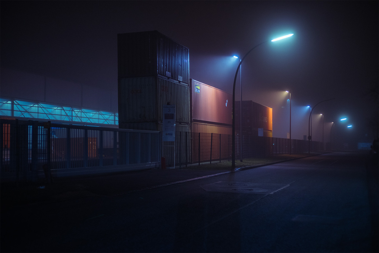 The Neon Meadow