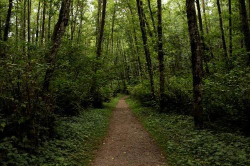 Hiking &lsquo;till we get lost&hellip; outside Seattle, WA