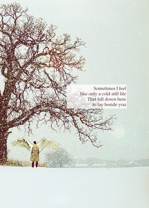pie-pala: url graphic &gt; snowfallcas