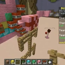 Minecraft Minigames For 10 Years