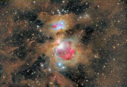 gravitationalbeauty:  Dust of the Orion Nebula