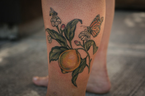 Tattoo uploaded by Juako Gianneo  Lemon tree  Tattoodo