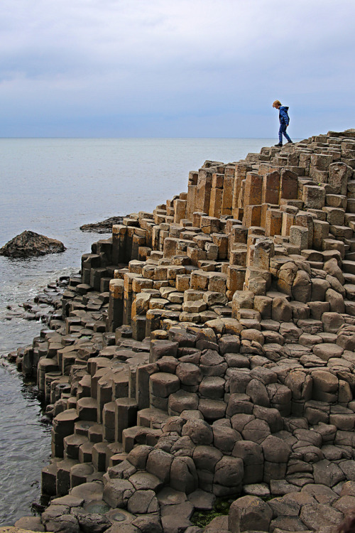 allthingseurope:   Giant’s Causeway, Northern Ireland (by alessandro orlandi)