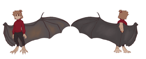 I made a Bat Grian design a while back and I realized that I gave him a fucking puncho&hellip; even 