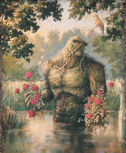 extraordinarycomics:    Swamp Thing by Stephen