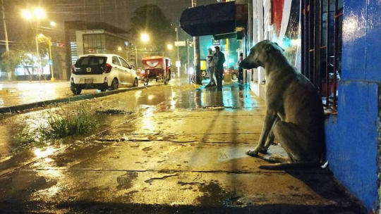 La mayor cobardía de una persona es despertar el amor de alguien y simplemente abandonarlo.