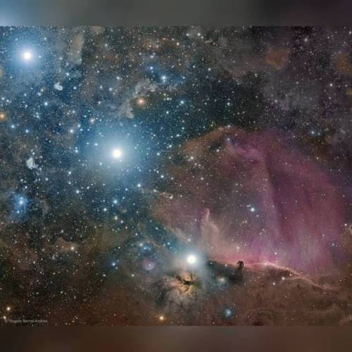 Orion: Belt, Flame, and Horsehead #nasa #apod #deepskycolors #orion #orionsbelt #orionnebula #orionmolecularcloudcomplex #stars #star #alnitak #sigmaorionis #gas #dust #clouds #flamenebula #horseheadnebula #barnard33 #interstellar #intergalactic #universe