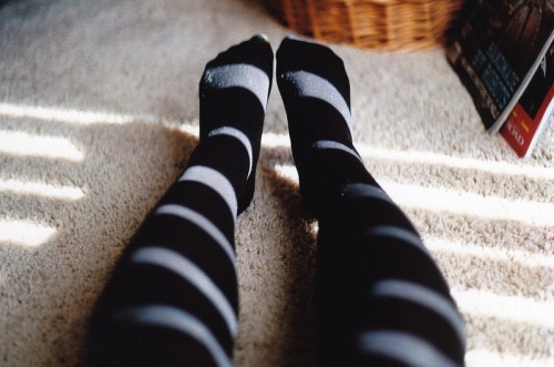 restaurer:  Untitled by GiaSergovich