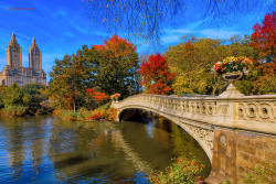 Gorgeous fall colors in Central Parkfrom