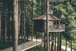 cabinporn:Forest Treehouse in Sant Hilari de Sacalm, Catalunya, SpainAvailable to rent » @cabanesalsarbresSubmitted by Noemi Larred