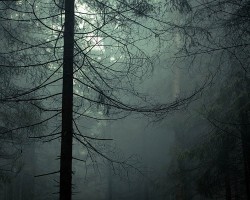 mothernaturenetwork:  8 creepiest places in U.S. national parks