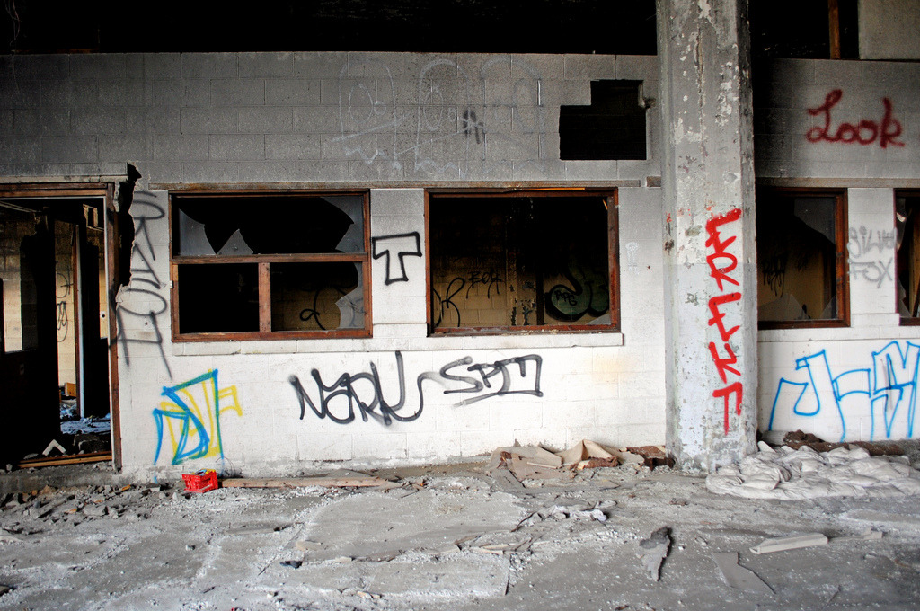 abandoned-playgrounds:  The  Packard Automotive Plant For Full Story —&gt; http://www.abandonedplaygrounds.com/the-derelict-packard-automotive-plant-of-industrially-abandoned-detroit/