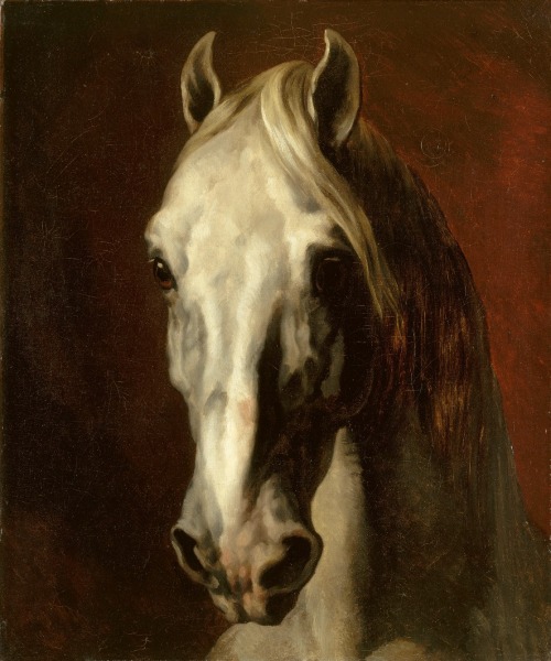 laclefdescoeurs:Tête de cheval blanc, 1816-17, Théodore Géricault