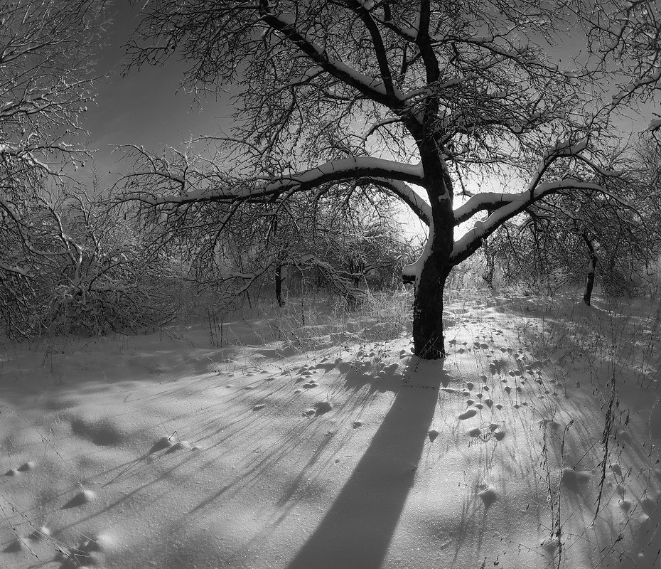 faustinepau:  (via 35PHOTO - Sergei Shlyaga - journée d’hiver) 