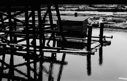 Log booms, Tacoma, Washington waterfront, circa 1965