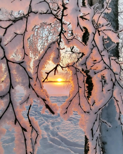 winter dawn in Finland. photo by Marita Mattila