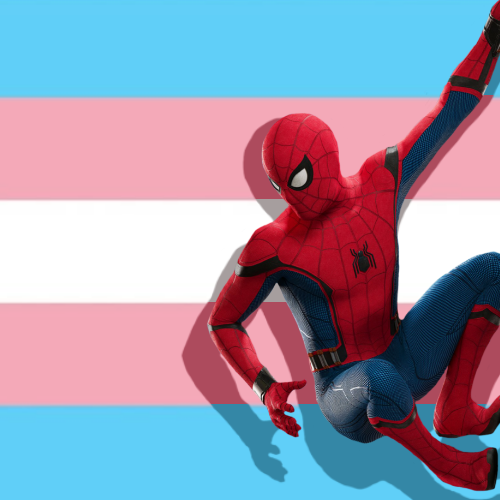 Trans Spider-man Stimboard!