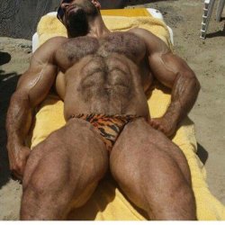 the-swole-strip:  http://the-swole-strip.tumblr.com/   Muscular, hairy, sexy - he can come to my pool side anytime - WOOF