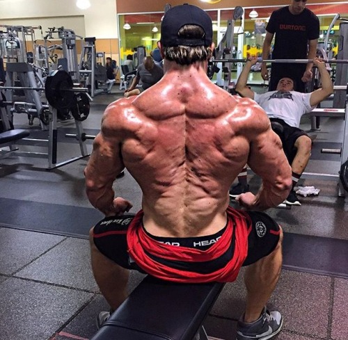 builddudebuild:  Brad Castleberry 