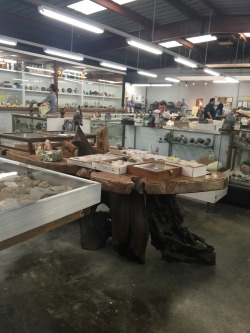 the-darkest-of-lights:  “The rock store” in Vacaville Ca  Has very good prices on its gems and fossils. 