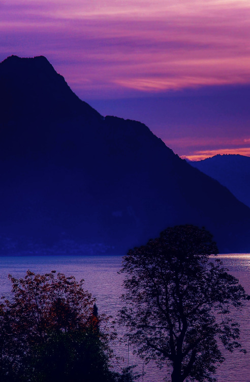 theencompassingworld:  coiour-my-world:paul bica ~ Buochs, Canton of Nidwalden, Switzerland  The World Around Us