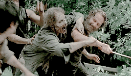 daily-reedus:  Daryl + saving Rick.