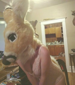 This deer is so cute and sexy aahh <3I