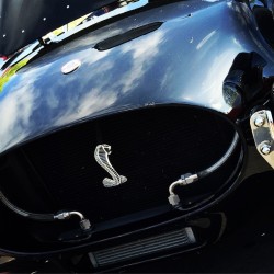megadeluxe:  Shelby Cobra. #shelby #motorsports #ford