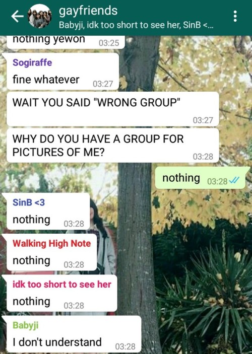 gaying in the group chat (from yerin&rsquo;s view)