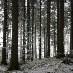 polandgallery:  Photo Album: Winter in Poland