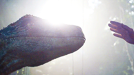 neddstark:Life can not be contained. Life breaks free. Life… finds a way.Jurassic