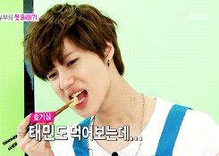 shawollet:  tasting delicious food...but NO   